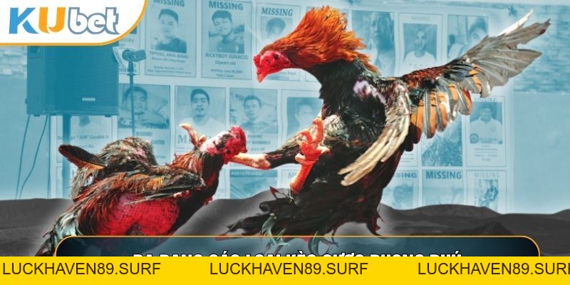 Đá Gà C1 - Đấu Trường Đẳng Cấp Thượng Lưu Tại KUBET88 - LUCKHAVEN89