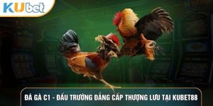 Kubet88 - Kubet 88 | Link trang tổng Kubet casino mới nhất - LUCKHAVEN89
