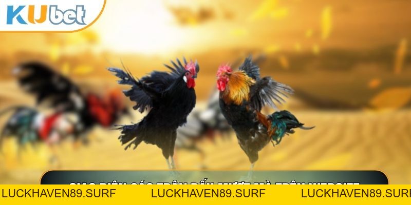 Đá Gà Cựa Dao - Đấu Trường Cạnh Tranh Nghẹt Thở 2026 - LUCKHAVEN89
