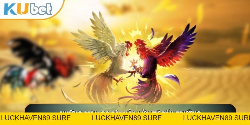 Đá Gà KUBET88 - Nơi Hội Tụ Những Trận Gà Đỉnh Cao Thế Giới - LUCKHAVEN89