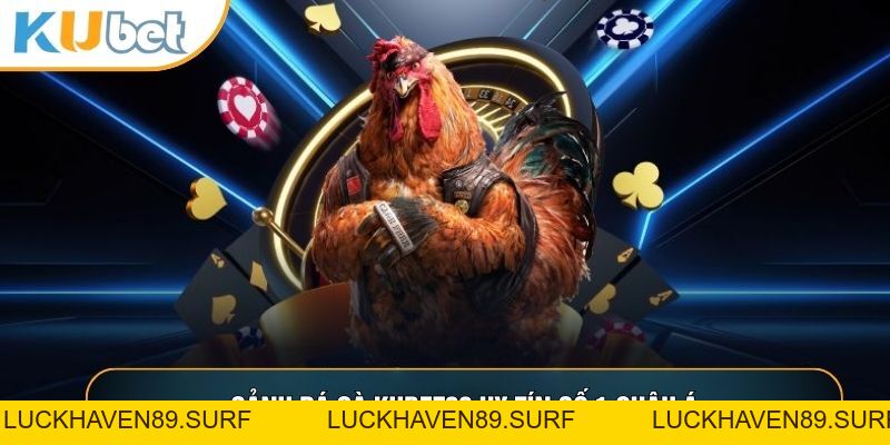 Đá Gà KUBET88 - Nơi Hội Tụ Những Trận Gà Đỉnh Cao Thế Giới - LUCKHAVEN89